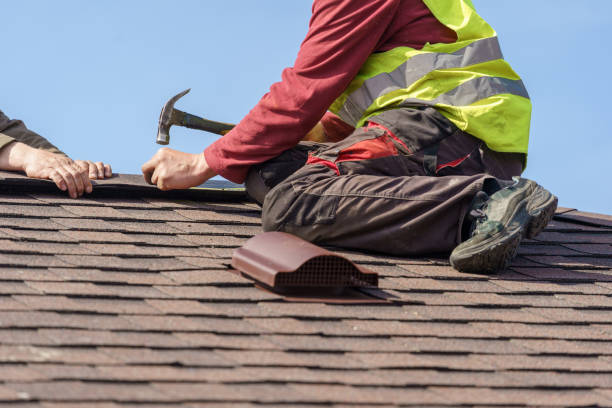 Best Commercial Roof Installation  in Pine Level, AL