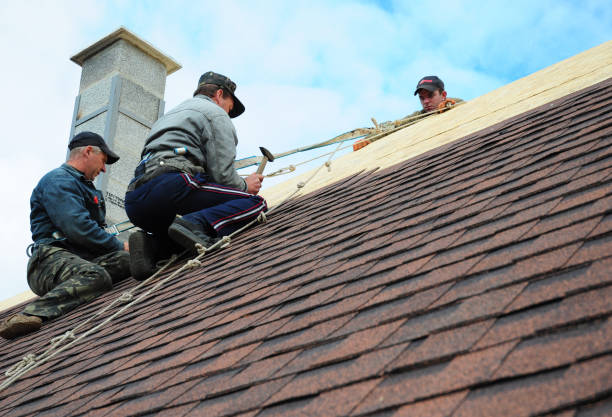 Roof Repair Estimates in Pine Level, AL